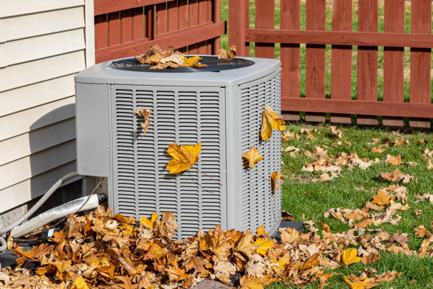 Best HVAC air duct cleaning  in Parsons, WV